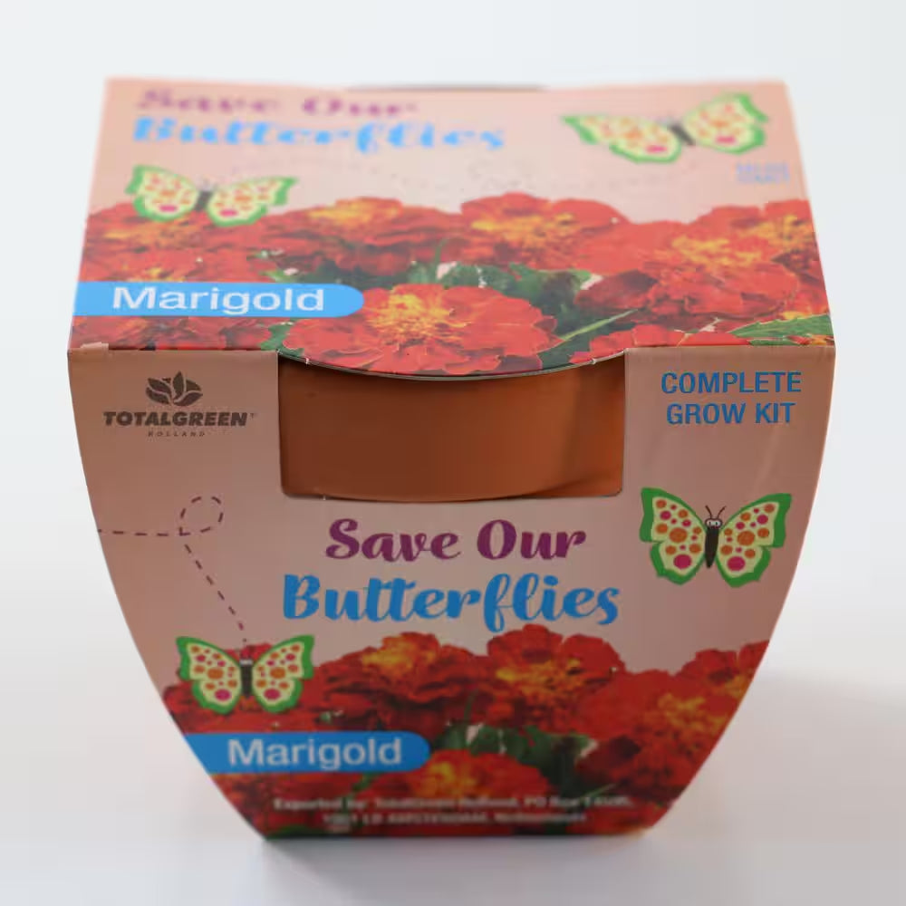 3.5 In. Marigold Pollinator Plant Seed Grow Kit