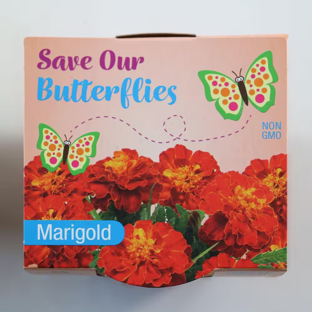 3.5 In. Marigold Pollinator Plant Seed Grow Kit
