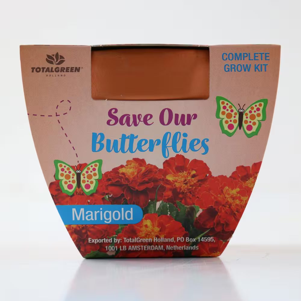 3.5 In. Marigold Pollinator Plant Seed Grow Kit