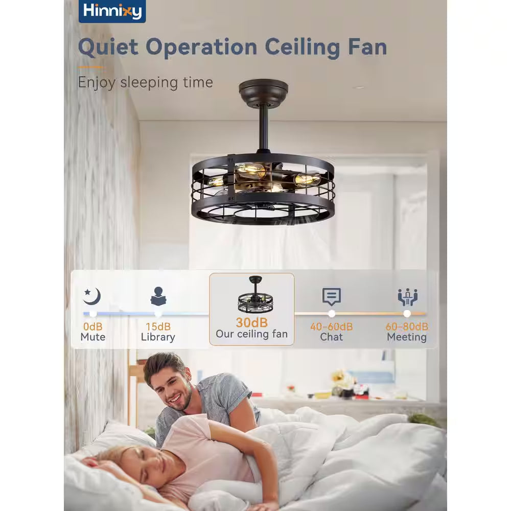 16.5 In. Indoor Black Ceiling Fan Caged Ceiling Fan with Lights and Remote Industrial Enclosed Ceiling Fan