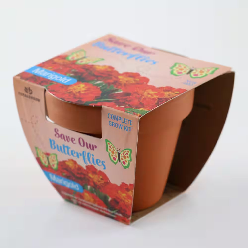 3.5 In. Marigold Pollinator Plant Seed Grow Kit